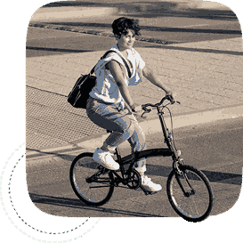 Field Force Management